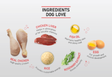 Get A Free Food Sample For Your Pets