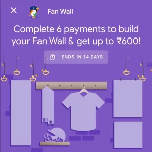 Google Pay Fan Wall Offer